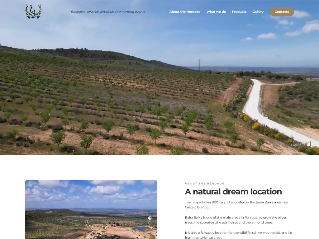 Websites e Páginas Online